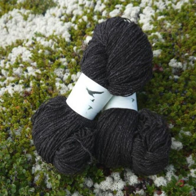 Hovedbilde 2-tr Skarv - naturfarget