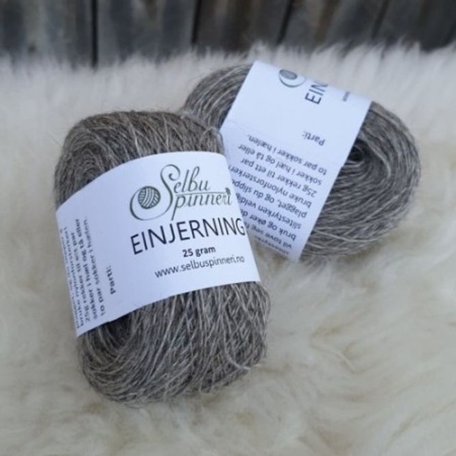 Hovedbilde Einjerning